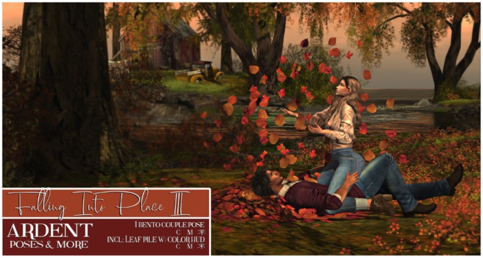 Ardent Poses - Falling Into Place III