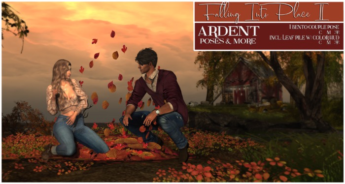 Ardent Poses - Falling Into Place II