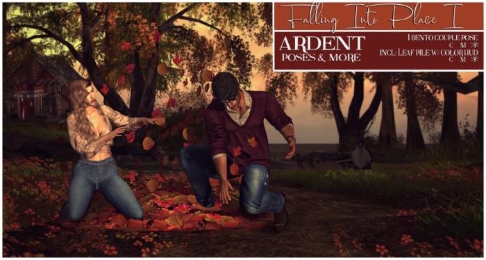 Ardent Poses - Falling Into Place I