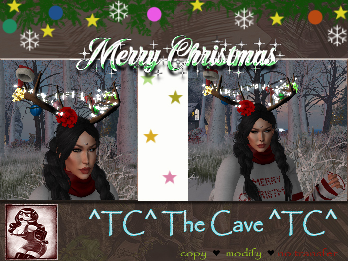 ^TC^ Christmas Antlers