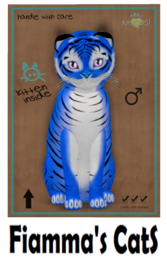 KittyCatS Box - Tiger! - Huckleberry