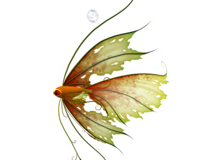 (7S) Uncommon Fish: Orange Ragged Fish