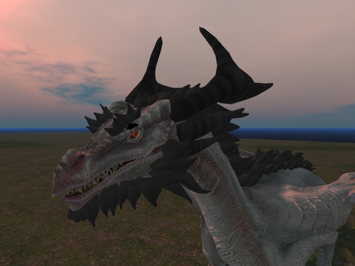 DK dragon fur 2 (updated)