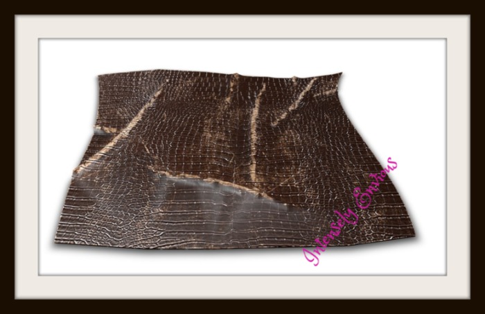 Concept} *13. Tierra. Cocodrile carpet