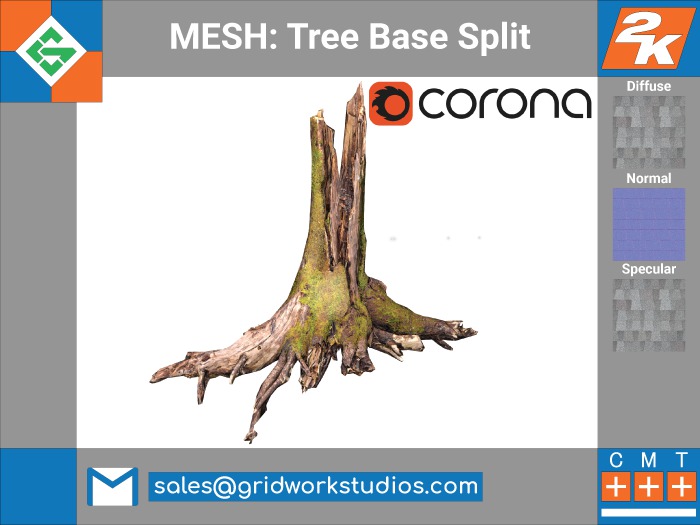 MESH: Broken Tree Root