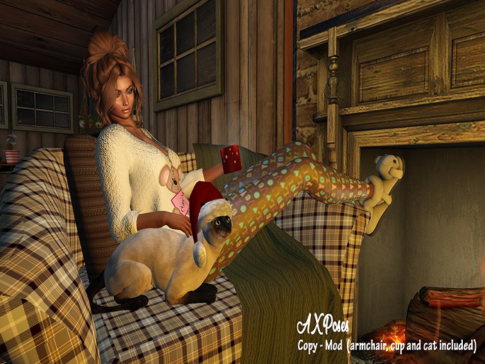 Winter nights [AX Poses]