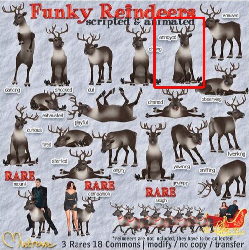 Annoyed-Funky Reindeers