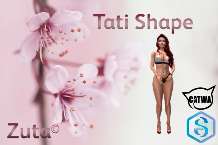 SHAPE CATWA HEAD SIGNATURE BODY
