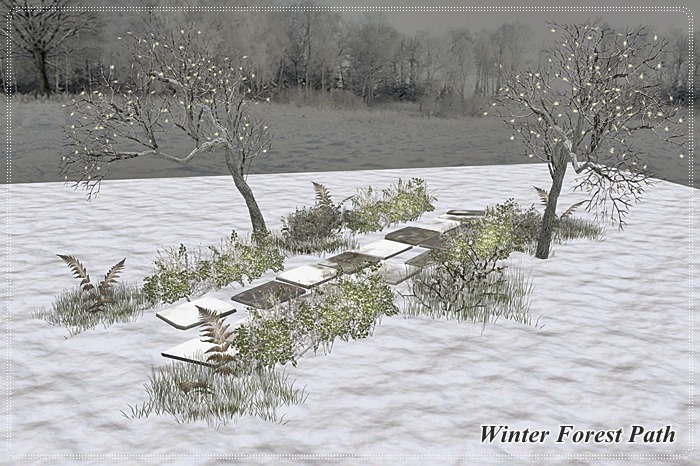 **BB** Winter Forest Path 1