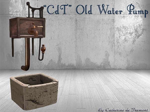 "CdT" Old Water Pump