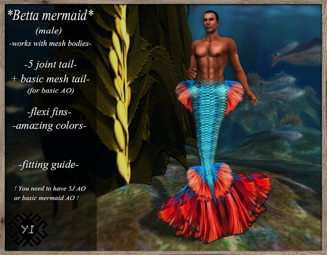 ..Yama's Ideas..Betta Merman tail Blue/Red