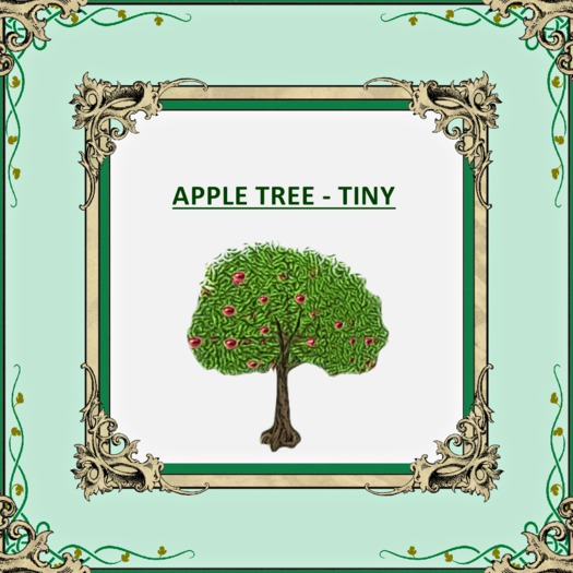 DFS APPLE TREE TINY