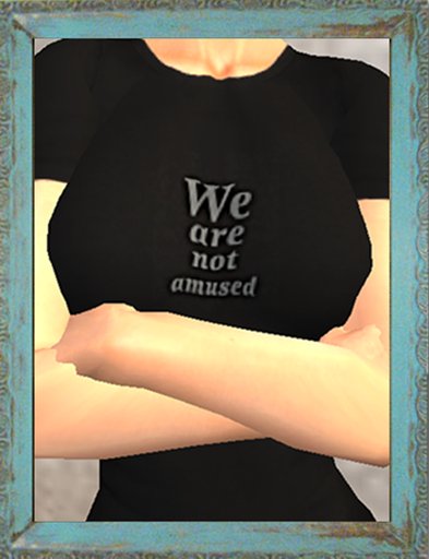 terri.tees not amused tee