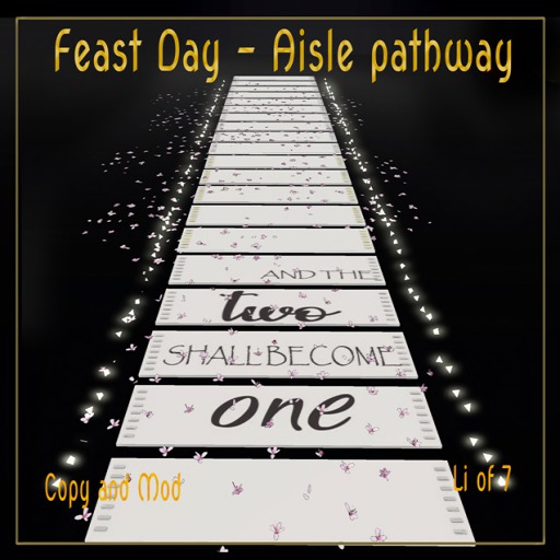 S55 Feast Day - wedding aisle pathway BOXED