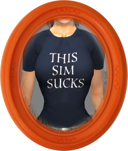 terri.tees this sim sucks tee