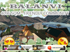 Balanvi 1