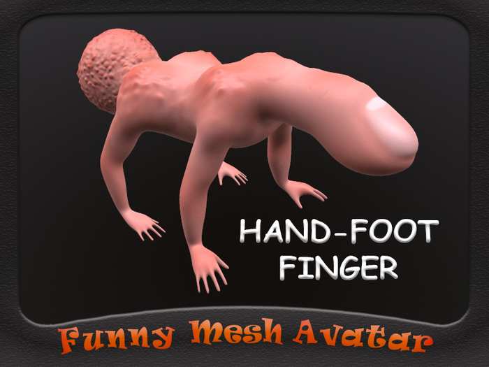 HANDS-FOOT FINGER AVATAR
