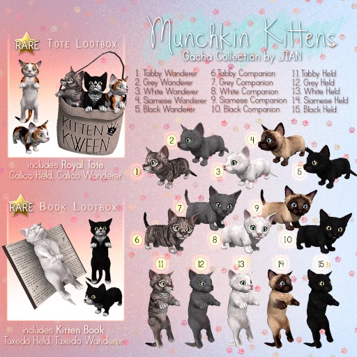 JIAN Munchkin Kittens :: Book Lootcrate RARE