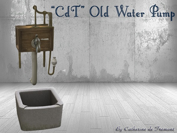 "CdT"  Old Water Pump 2
