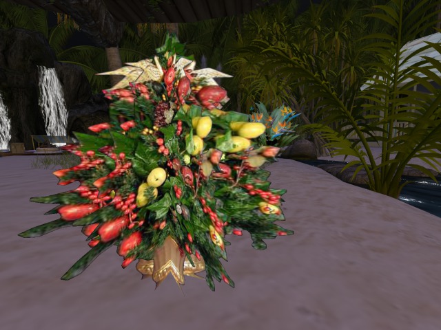 Christmas Plant