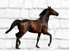 Majestic Horse Wall Decal