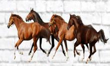 Running Horses Wall Decal