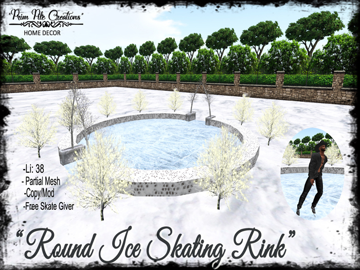 ~PPC~ Round Ice Skating Rink