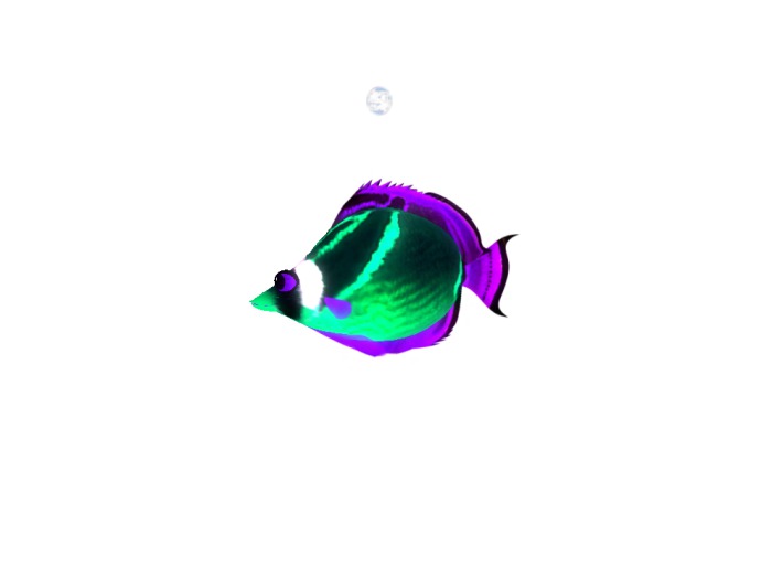 (7S) Uncommon Fish: Glow Raccoon Fish