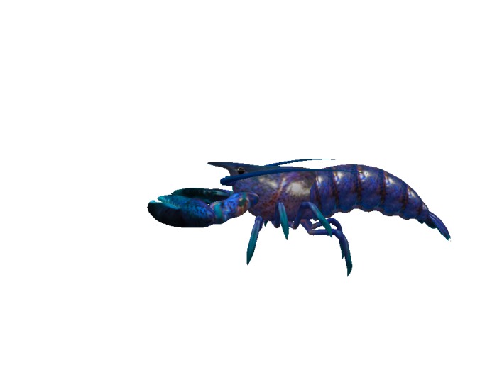 (7S) Uncommon Fish: Blue Lobster