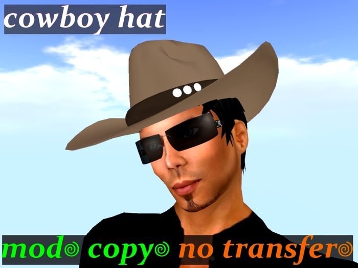 [cow boy hat]