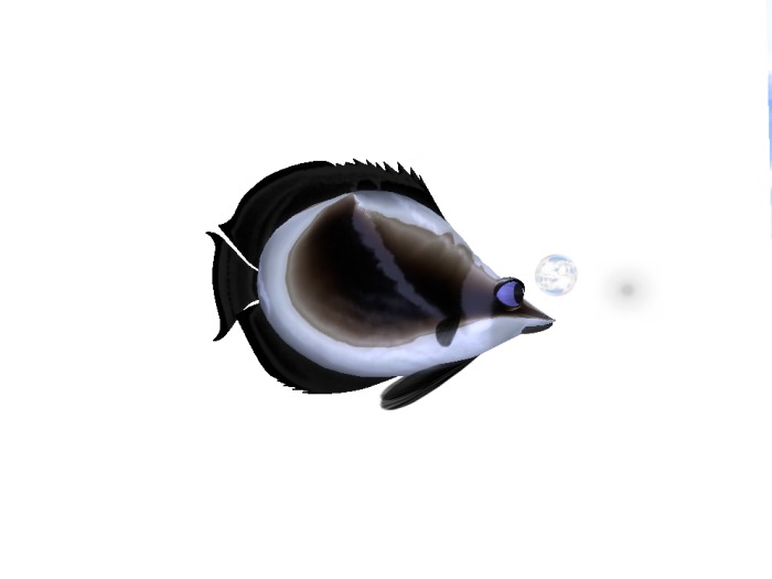 (7S) Uncommon Fish: Steel Raccoon Fish