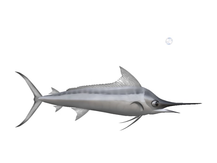 (7S) Uncommon Fish: Silver Marlin