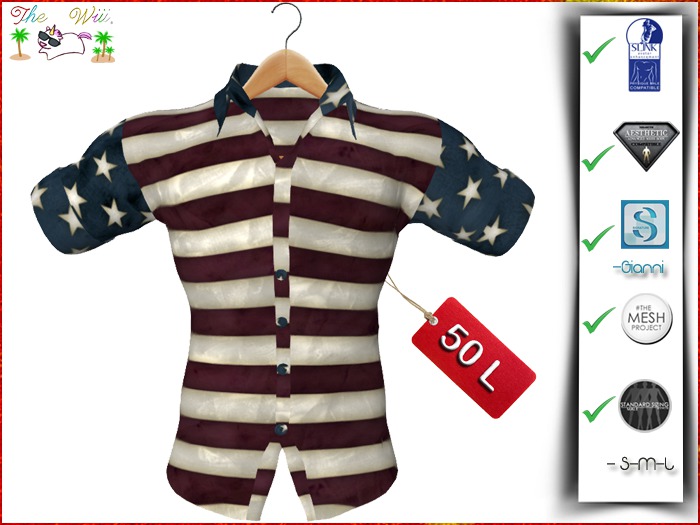 USA Shirt