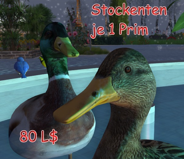 Stockenten Bundle