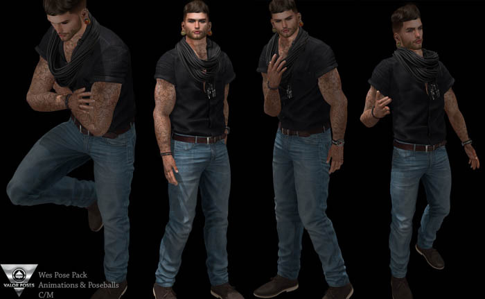 Valor Poses-Wes Pose Pack