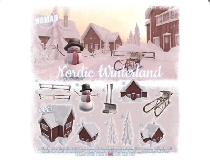 NOMAD // Nordic Winterland // RARE