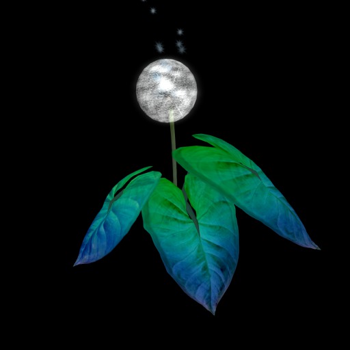 [Boxed] {Papillon} Magical Frond