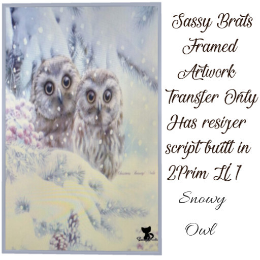 *SB* Snowly Owls Bagged