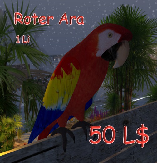Roter Ara