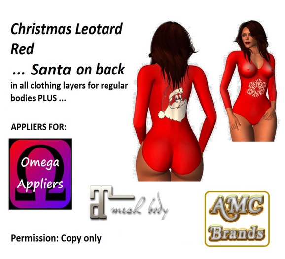 Leotard Red Xmas with Santa on the back