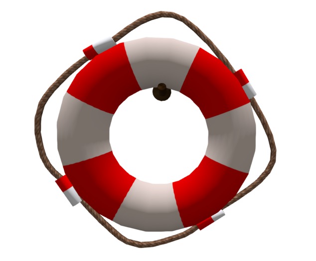 Life Buoy w/Hook