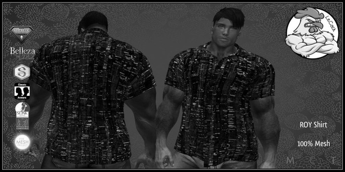 LeCock - ROY Shirt DEMO