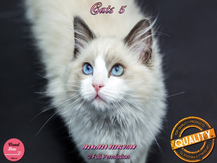 VN Store - Cats 5(FULL PERM)