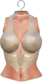 [[ Masoom ]] Roxy Top- Nude -Lara, Legacy Body, Freya and Hourglass-