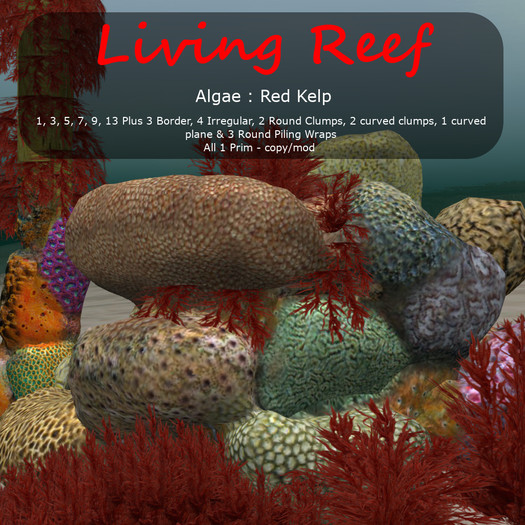 Inochi Reef : Algae "Red Kelp"