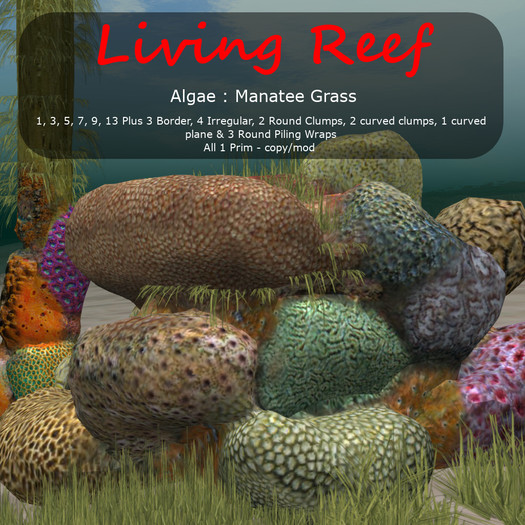 Inochi Reef - Manatee Grass