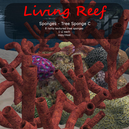 Inochi Reef - Tree Sponge C
