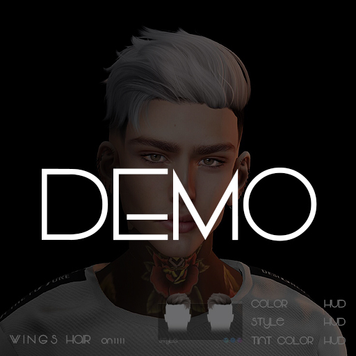 WINGS-ON1111 Fatpack DEMO (Packaged)