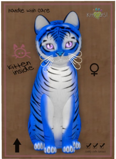 KittyCatS Box - Tiger! - Huckleberry