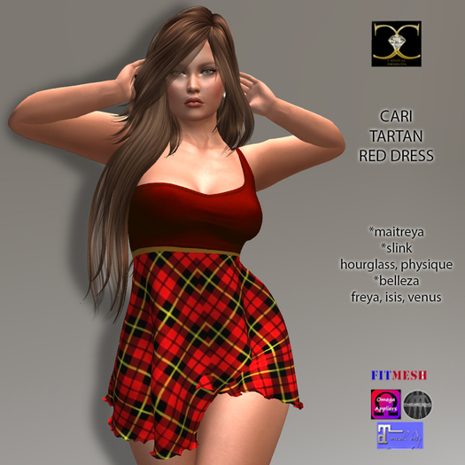 CARI TARTAN RED DRESS
